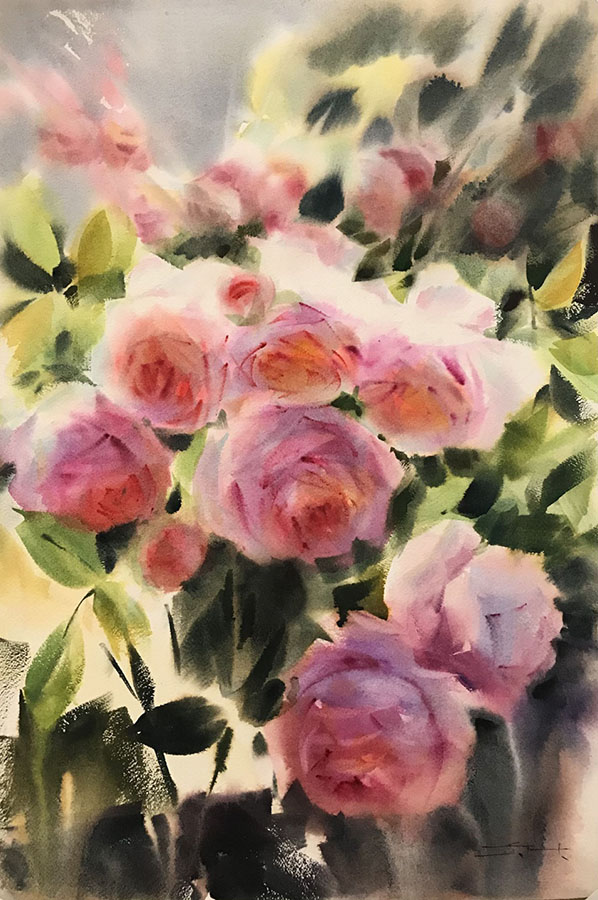 Morning Roses